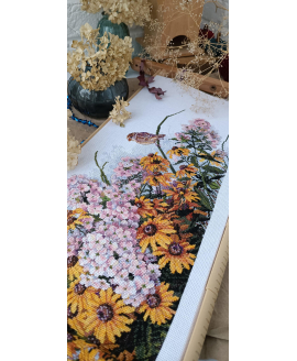 Black Eyed Susans and Phlox